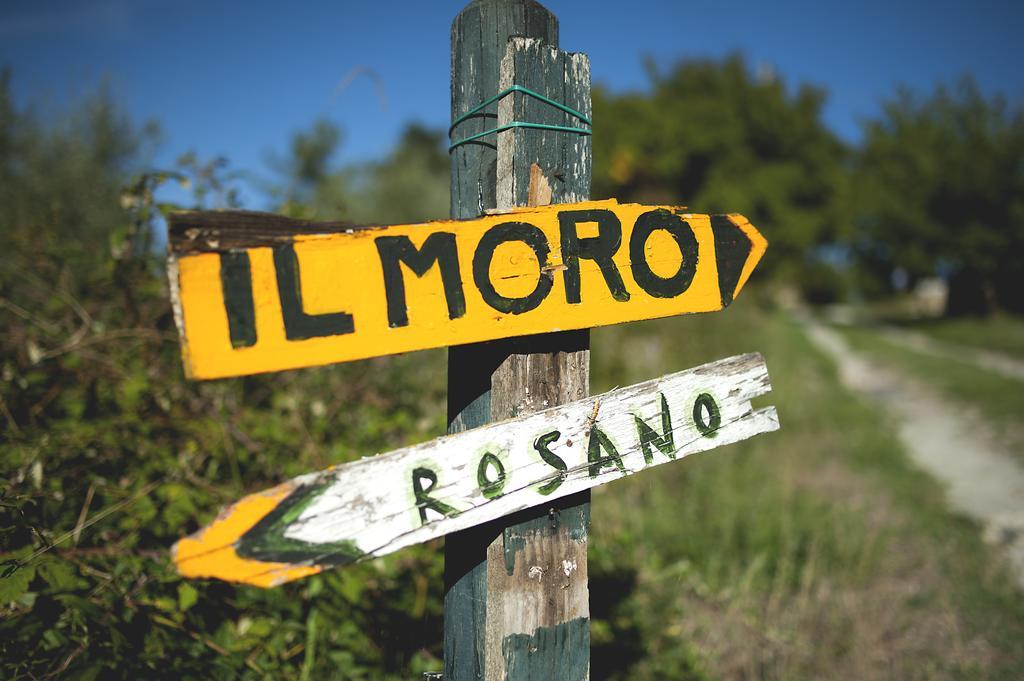 Country Room Il Moro 리냐노술라르노 외부 사진